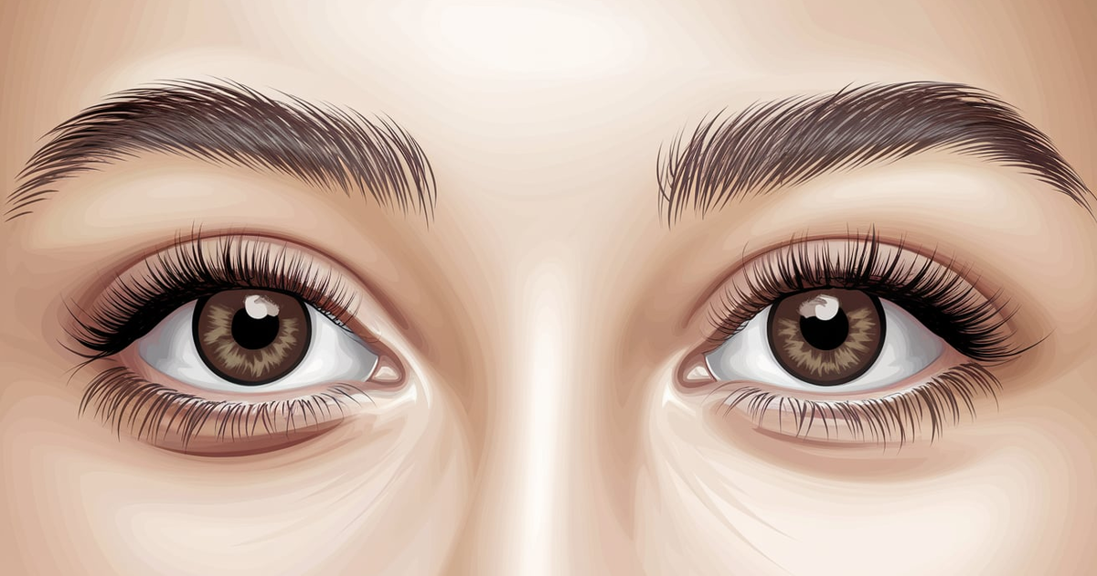 Brown Eyes Clipart No Background